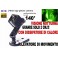 MICROTELECAMERA SQ11 INFRAROSSI FULL HD MICROSPIA GRANDANGOLO OCCULTABILE SPY CAM