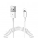 CAVO RICARICA VELOCE IPHONE IPAD MINI AIR IPOD APPLE 1M / 3M CAVETTO DATI