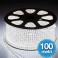 LUCE LED 5050 STRISCIA LED LUCE NATALE 100 MT BIANCO ILLUMINAZIONE DECORAZIONE DA ESTERNO 220V